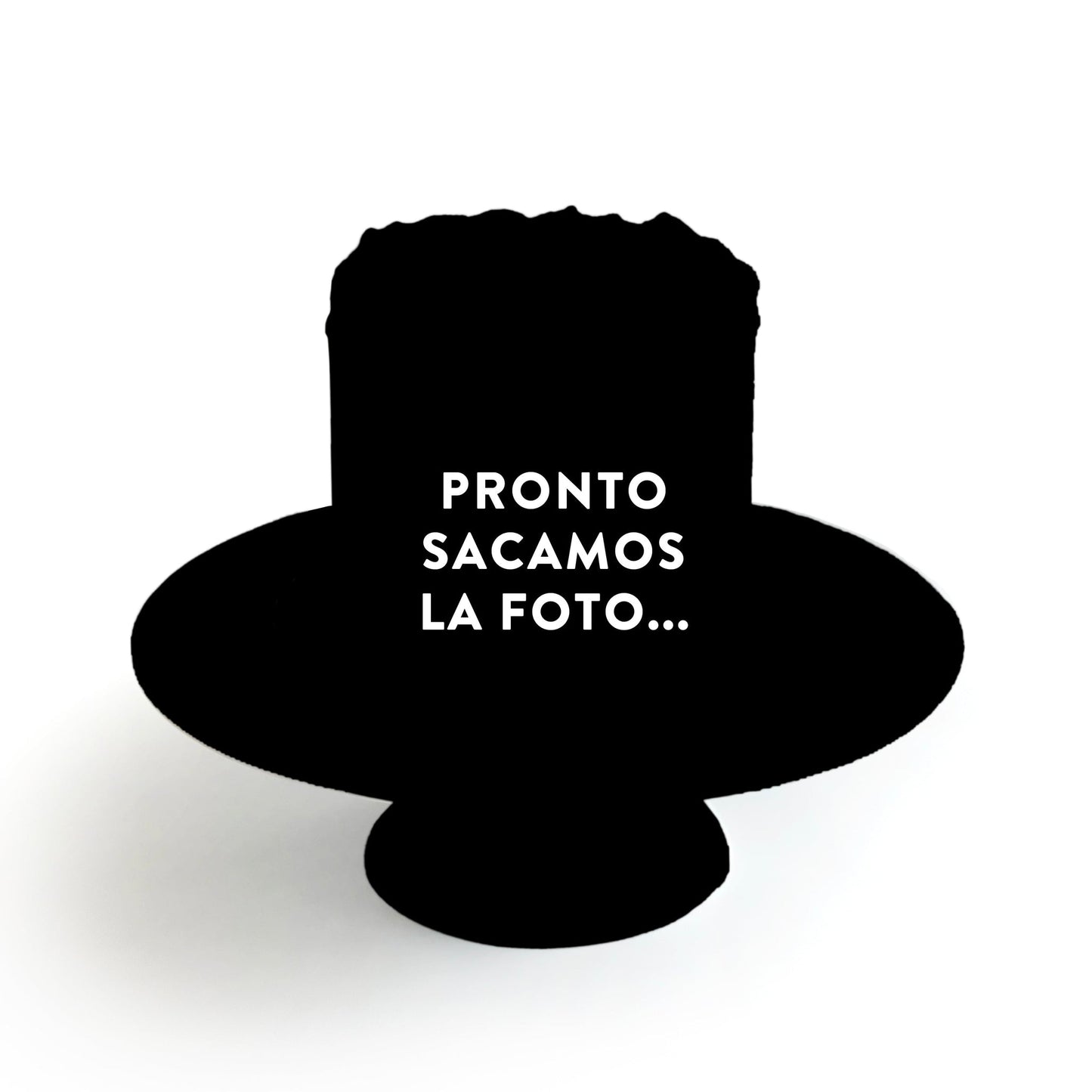 Chocolate Cake filled w/ Peanut Butter covered w/ Dark Chocolate Ganache